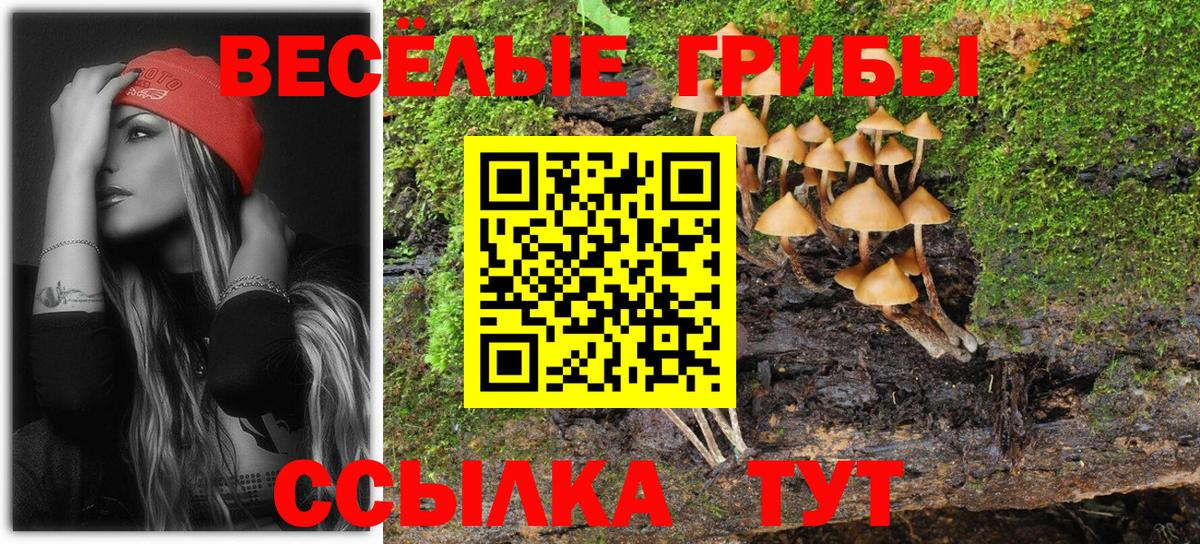Псилоцибиновые грибы Psilocybine cubensis Нефтекумск