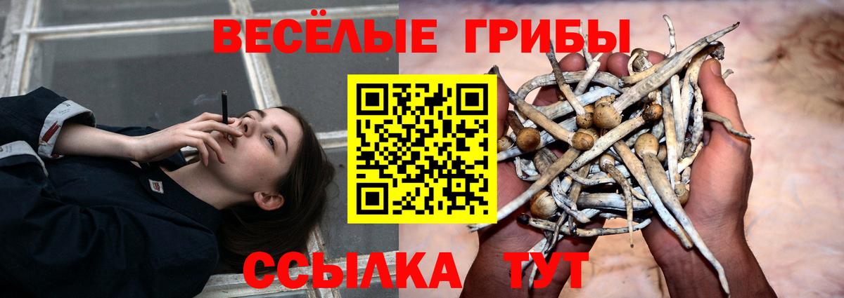 Alpha PVP Нефтекумск