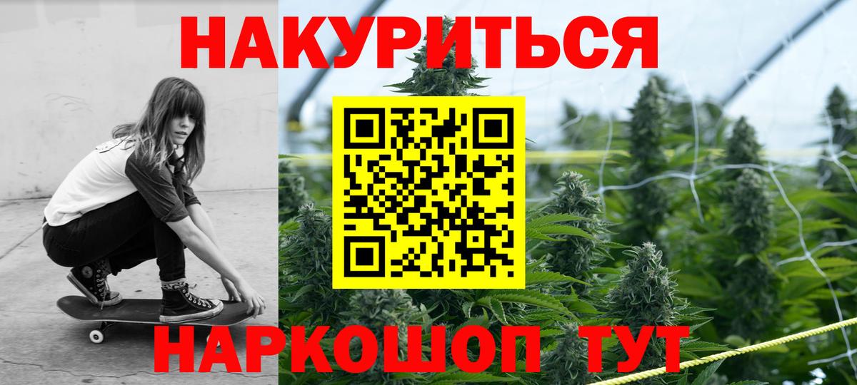 Конопля сатива Нефтекумск